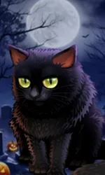 Spooky Halloween